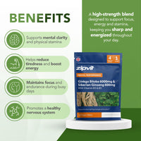 Zipvit Ginkgo Biloba 6000mg & Siberian Ginseng 600mg with Vitamins B3 & B5 Pouch, 120 Vegan Tablets, Supports Energy & Mental Performance, 4 Month Supply