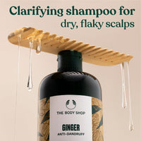 The Body Shop Ginger Anti-Dandruff Shampoo (1x 250ml), Clarifying Shampoo for Dry, Itchy and Flaky Scalp, Vegan Haircare, Suitable for Sensitive Scalps