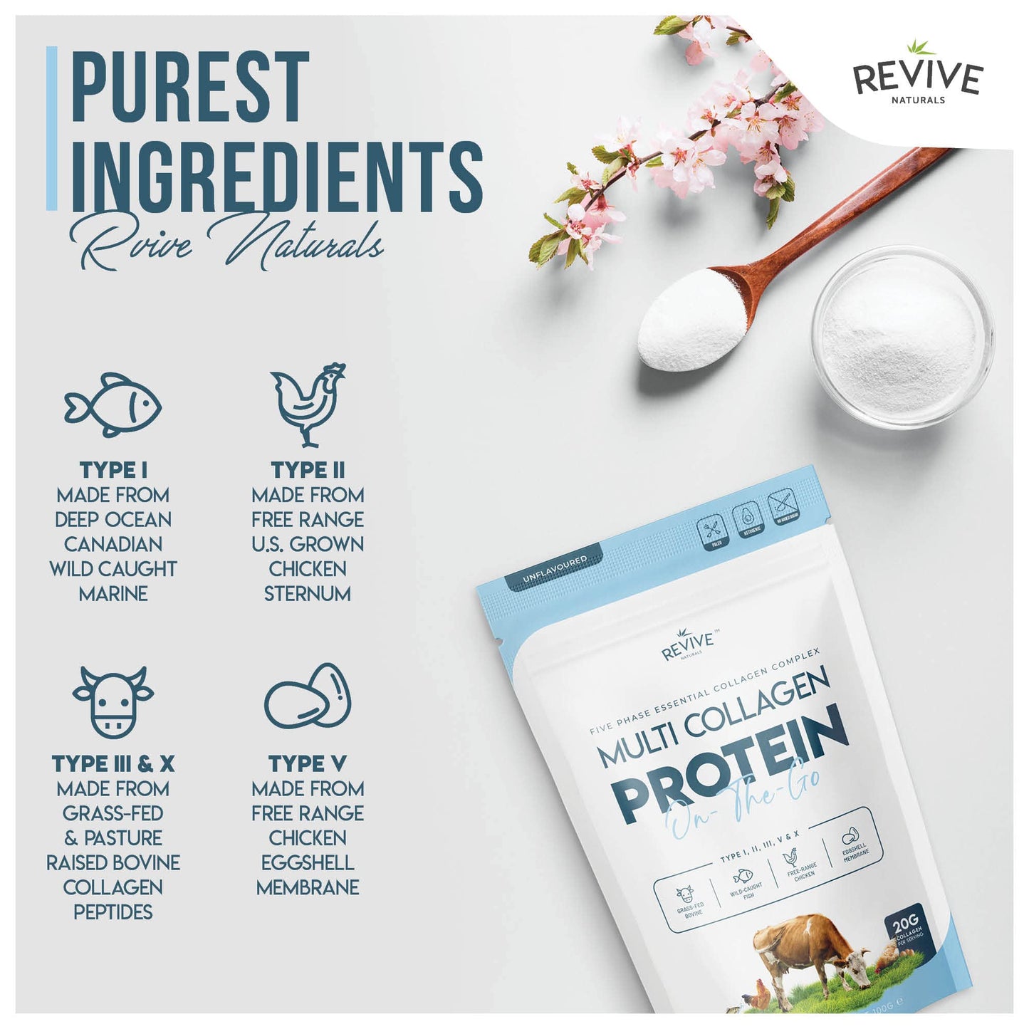 Multi Collagen Protein Powder (100g) - Types I, II, III, V & X - Hydrolyzed Grass Fed Bovine, Wild Caught Fish, & Free-Range Chicken & Eggshell Collagen (5 Day Supply)
