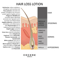 Cecere Laboratories-(30ml/1.02fl.oz)Hair Loss Lotion For Men,Women, Hair Growth Serum for Strengthening ,Nourishing the Hair Contains Phytoestrogens, Goji and Pinus Palustris (30ML)