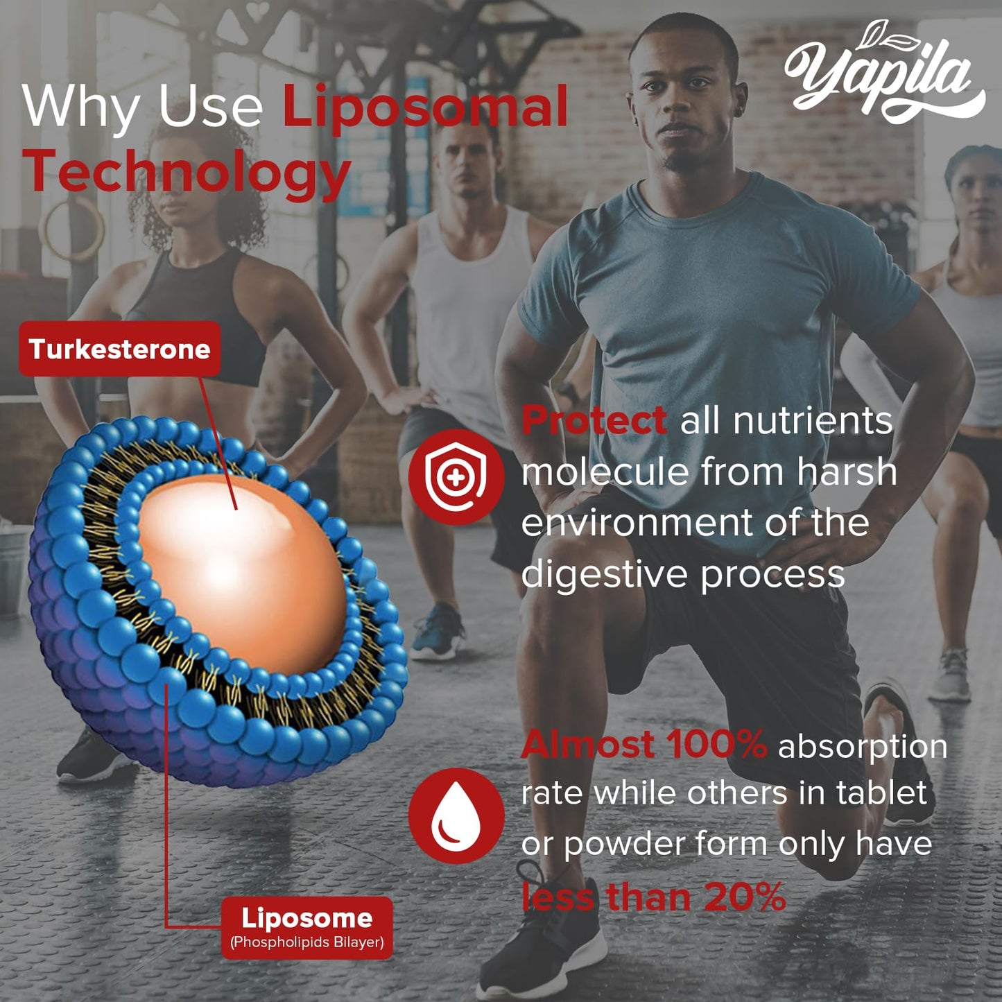 Liposomal Turkesterone Supplement - 1500mg Ajuga Turkestanica Extract, Standardized to 20% Turkesterone, Max Absorption, High Strength for Bodybuilding, No Additives, Non-GMO