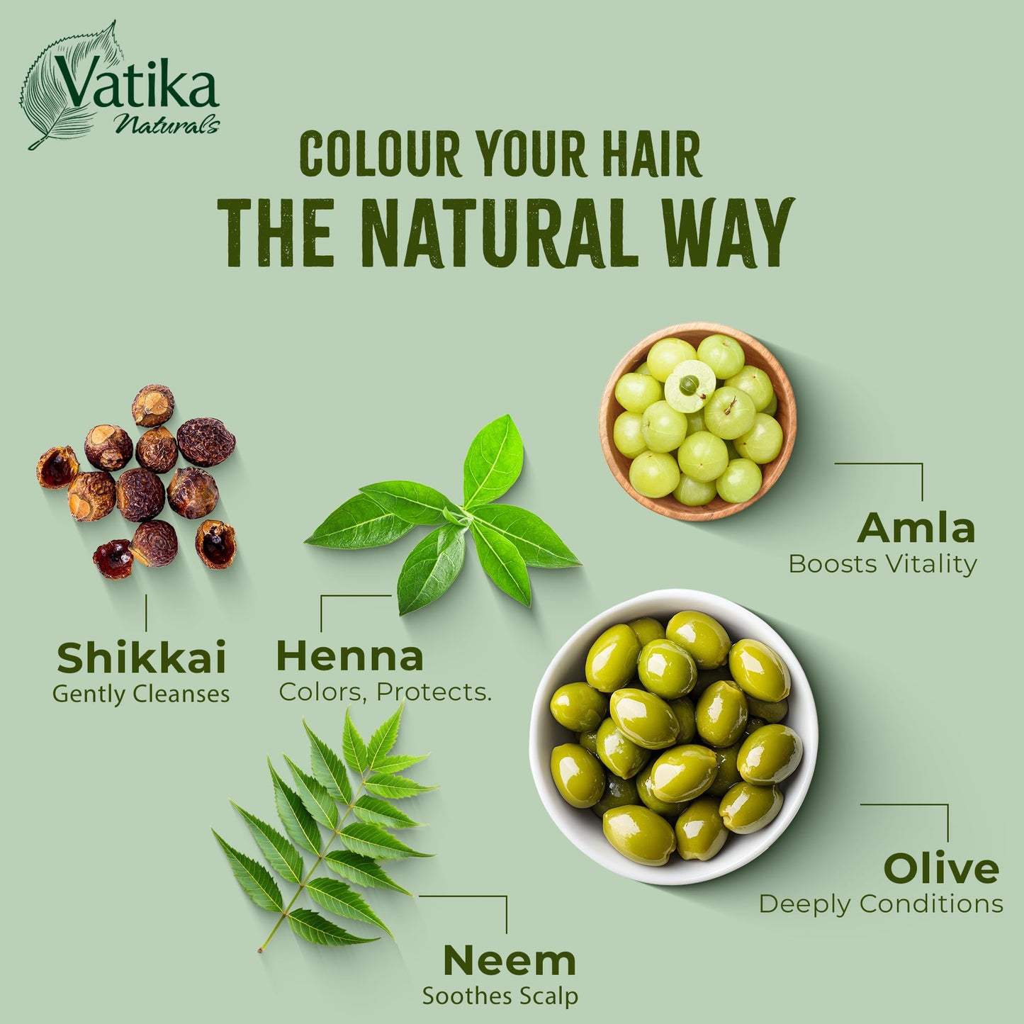 Vatika Naturals Henna Burgundy Hair Colours - 60g (6 x 10g Sachets),100% Ammonia Free, For Vibrant Color, Shine, & Coverage (Packaging May Vary)