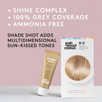 Josh Wood Colour Josh Wood Permanent Colour 8.0 and Champagne Shade Shot 6.5 to 9 Bundle- Striking Permanent Colour with Shine Complex, 100% Grey Coverage, Ammonia Free, Kind to Hair Ingredients
