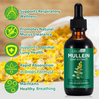 Tamiodfo Mullein Drops, Mullein Leaf Extract Herbal Supplements Drops for Fast Absorption