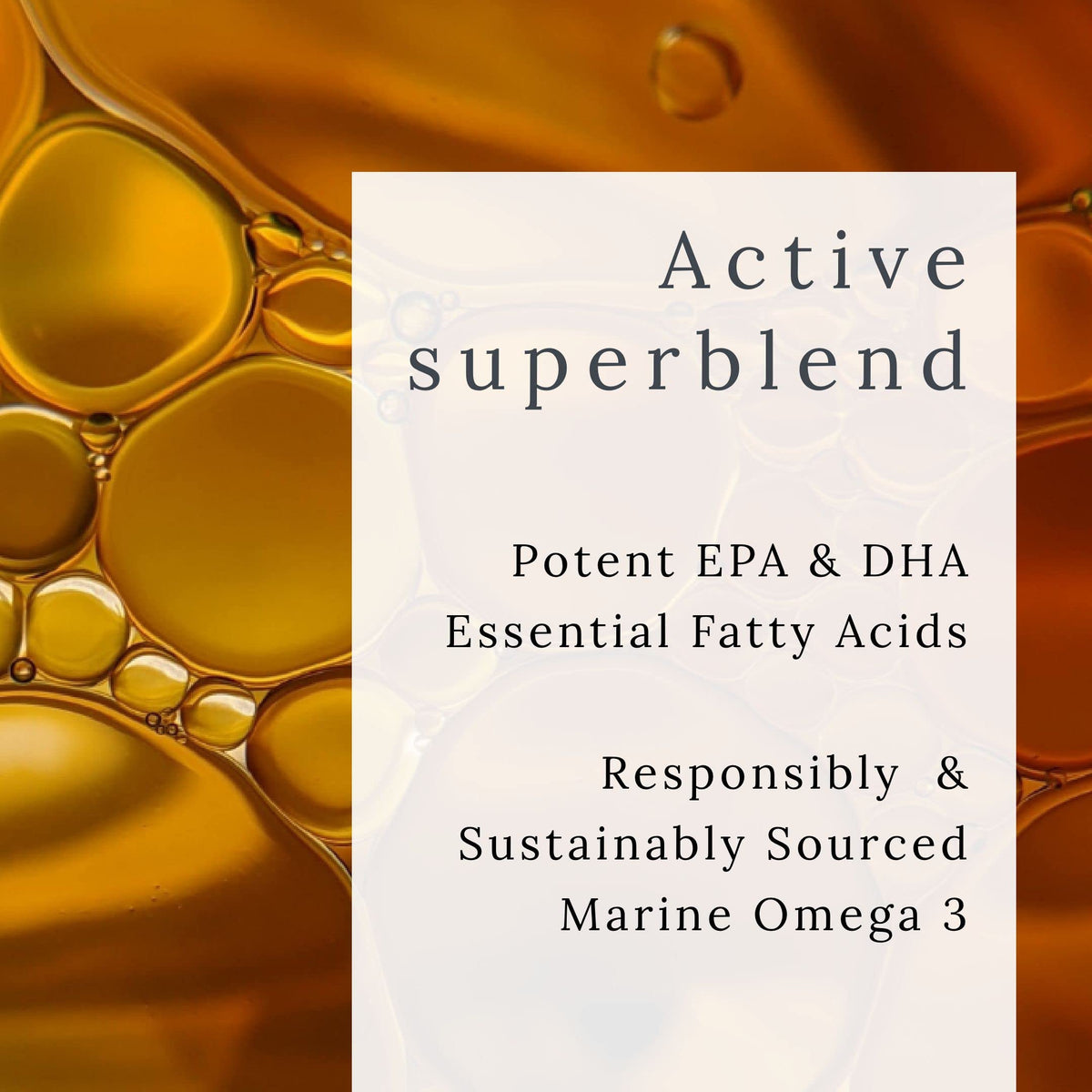 GP Gabriela Peacock Nutrition GP Nutrition The Omega - Omega 3 Fish Oil, EPA & DHA Nutritional Supplement - Sustainably Sourced, 28 Capsules