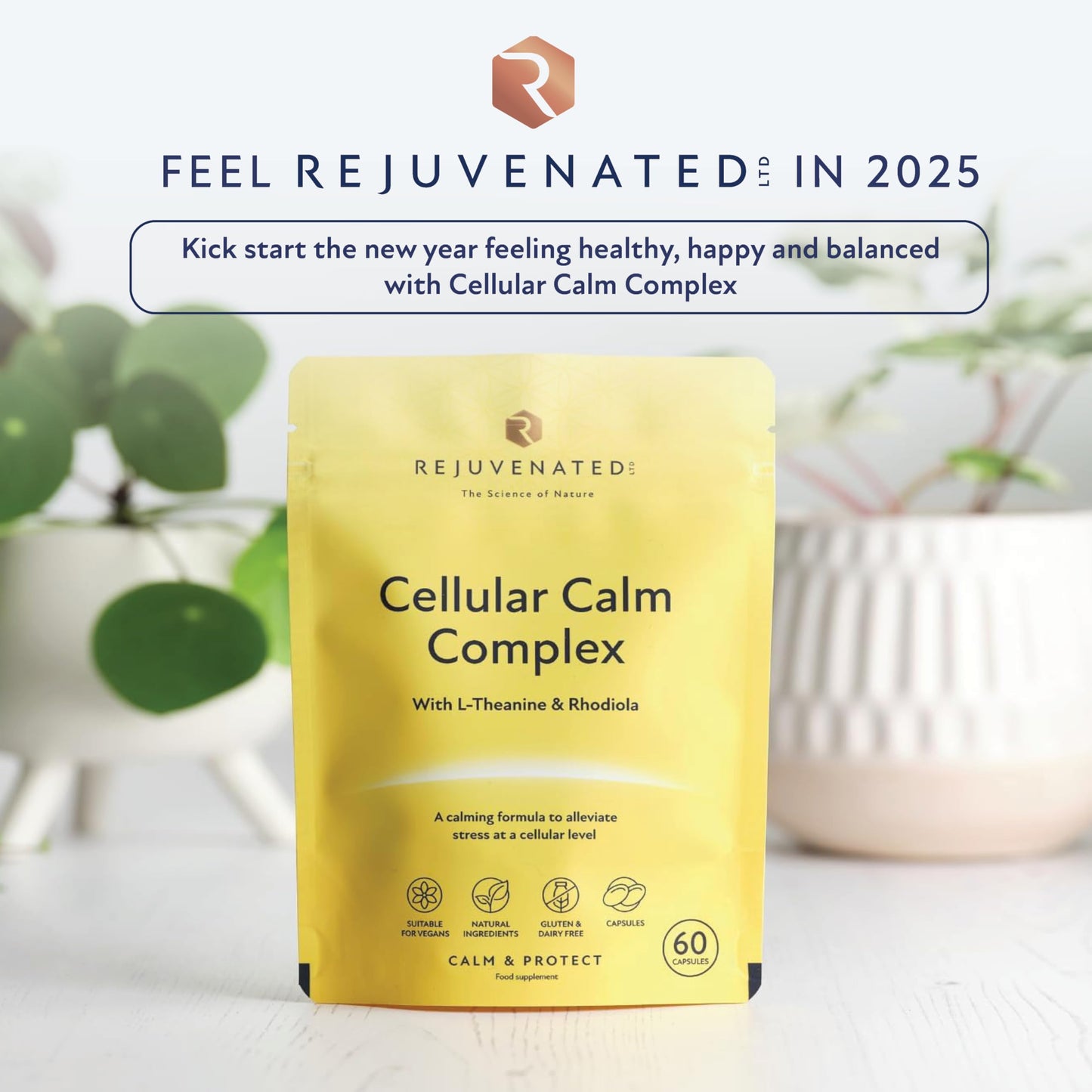 Rejuvenated Limited Rejuvenated Cellular Calm Complex - Nootropic & Adaptogen Blend for Stress & Anxiety Relief for Adults - Calming Formula and Stress Relief Supplement with L-Theanine & Rhodiola (60 Capsules)