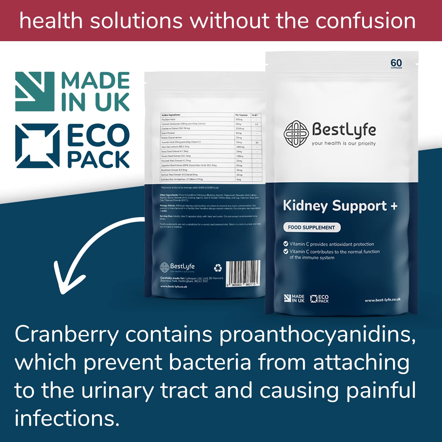 BestLyfe Your Health Is Our Priority BestLyfe Kidney Support+ Supplement | 14 Nutrients & Vitamins | Twin Pack | 120 Capsules | Liver Detox | Kidney Cleanse | Gallbladder and Spleen Support | Healthy Urinary Tract | UK Made