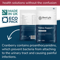 BestLyfe Your Health Is Our Priority BestLyfe Kidney Support+ Supplement | 14 Nutrients & Vitamins | Twin Pack | 120 Capsules | Liver Detox | Kidney Cleanse | Gallbladder and Spleen Support | Healthy Urinary Tract | UK Made
