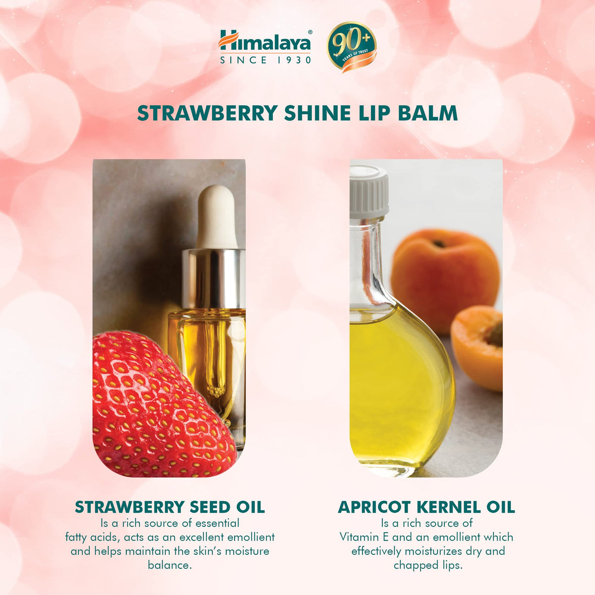 Himalaya Lip Balm Strawberry Gloss Tube Glossy Shine for Delicate Tint 10g, red