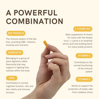 Herstat L-Lysine & Propolis Supplements | High Potency L Lysine Immune Support Formula with 5:1 Propolis Extract, Quercetin, VIT C, VIT E and Zinc