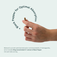 Dr. Sosnowski's BioActive KSM-66 Ashwagandha Capsules | 1050mg KSM-66 Ashwangandha with Black Pepper Extract, Extra Strength Formula (120 Capsules)