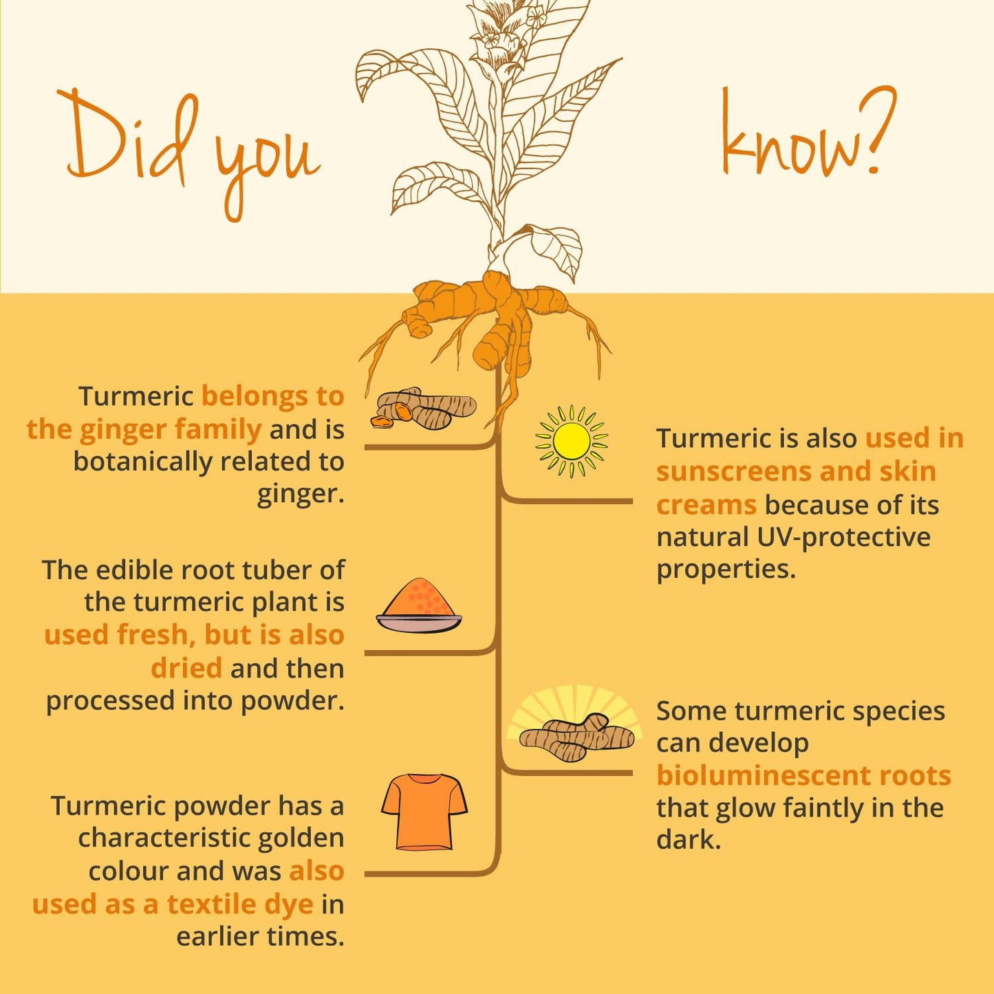 Vegavero Organic Turmeric 14620mg | Curcumin 158mg | Curcuma with Black Pepper | Piperine + Curcuminoids | NO Additives | Vegan
