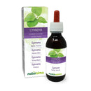 Gymnema (Gymnema sylvestre or Marsdenia sylvestris) Leaves Alcohol-Free Mother Tincture Naturalma - Liquid Extract Drops 120 ml - Food Supplement - Vegan