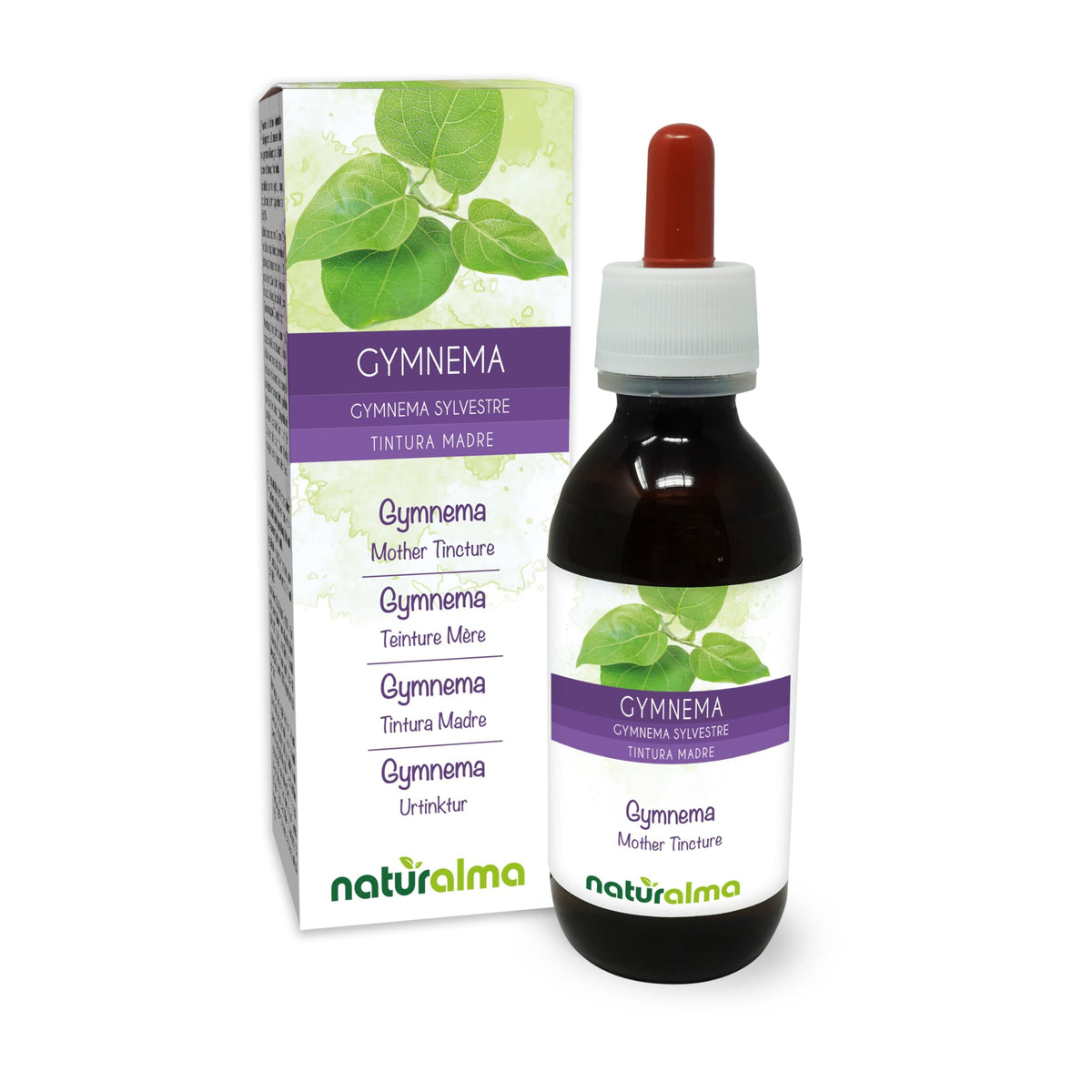 Gymnema (Gymnema sylvestre or Marsdenia sylvestris) Leaves Alcohol-Free Mother Tincture Naturalma - Liquid Extract Drops 120 ml - Food Supplement - Vegan