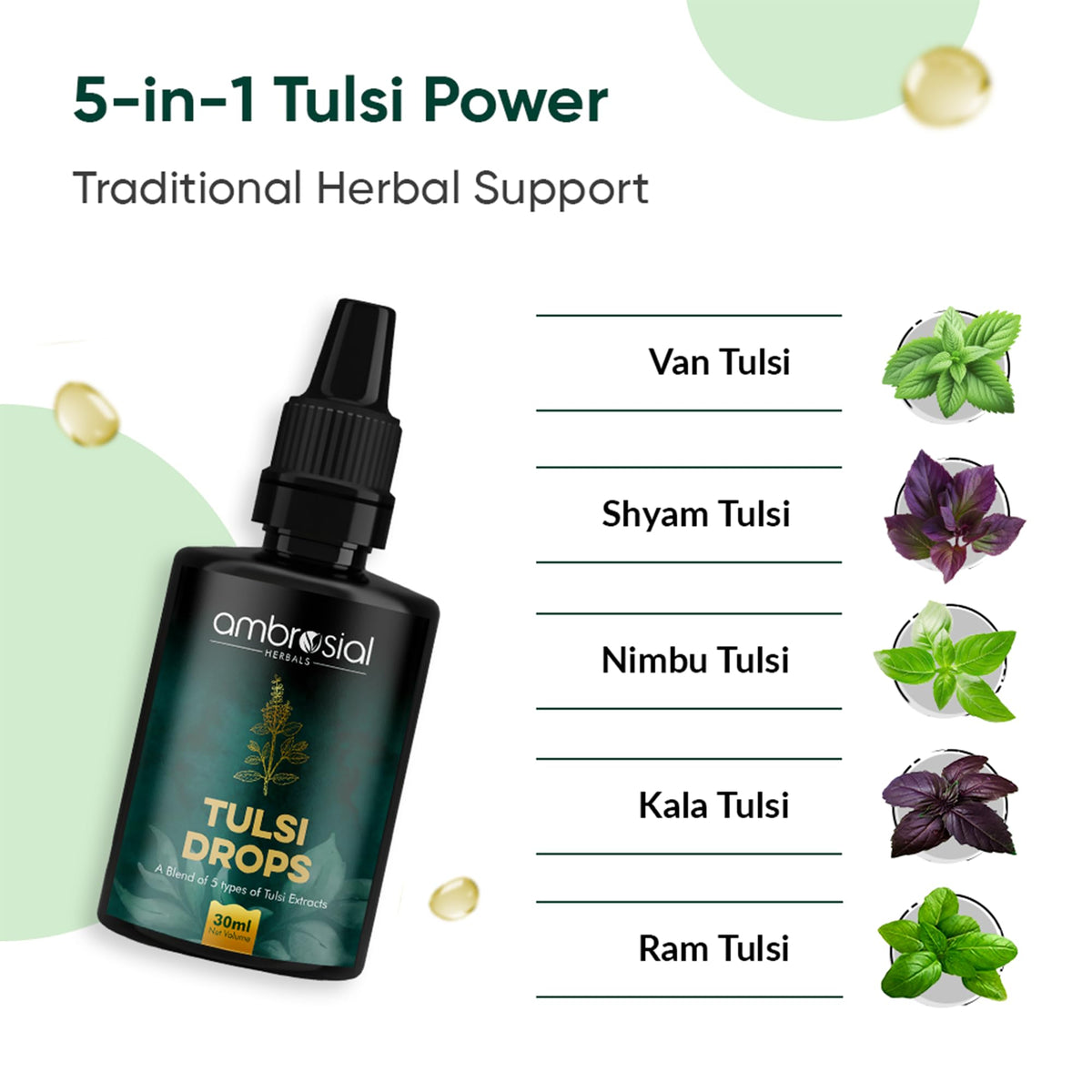 AMBROSIAL Ambrosial Tulsi Drops Concentrated Extract Of 5 Tulsi 30ml | Natural Immunity Booster | Relieves Cough & Cold | Raw Extract of Holy Basil Leaf (30ml)