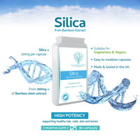 swiss bioenergetics Silica 225mg - A Potent Highly Bioavailable Form - Naturally Sourced from Bamboo Extract - 90 One-A-Day Vegan Capsules – Exclusively Manufactured in The UK