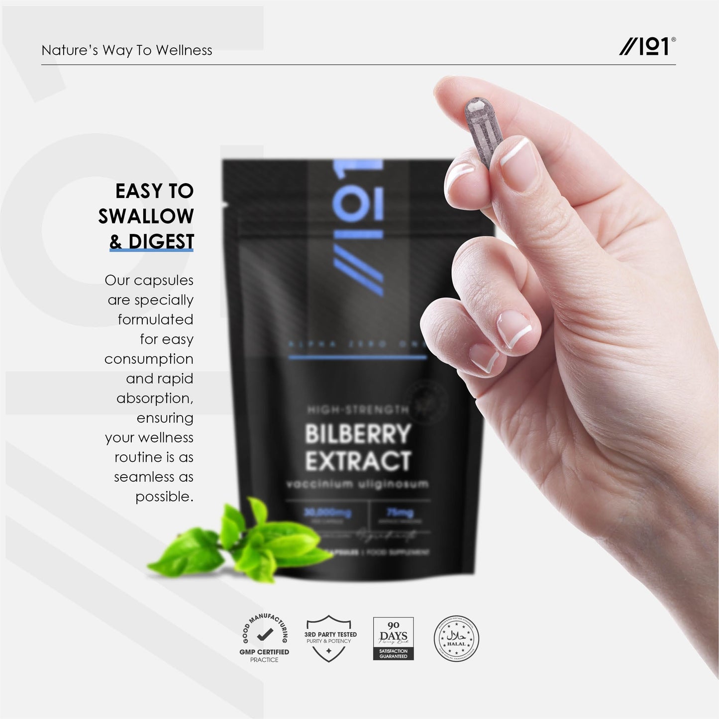 ALPHA01 Bilberry Extract 30,000mg - Standardised 25% Anthocyanidins from 50:1 Vaccinium Uliginosum Extract - 90 Vegan Capsules (3 Months Supply) – Resealable and Recyclable Pouch by Alpha01