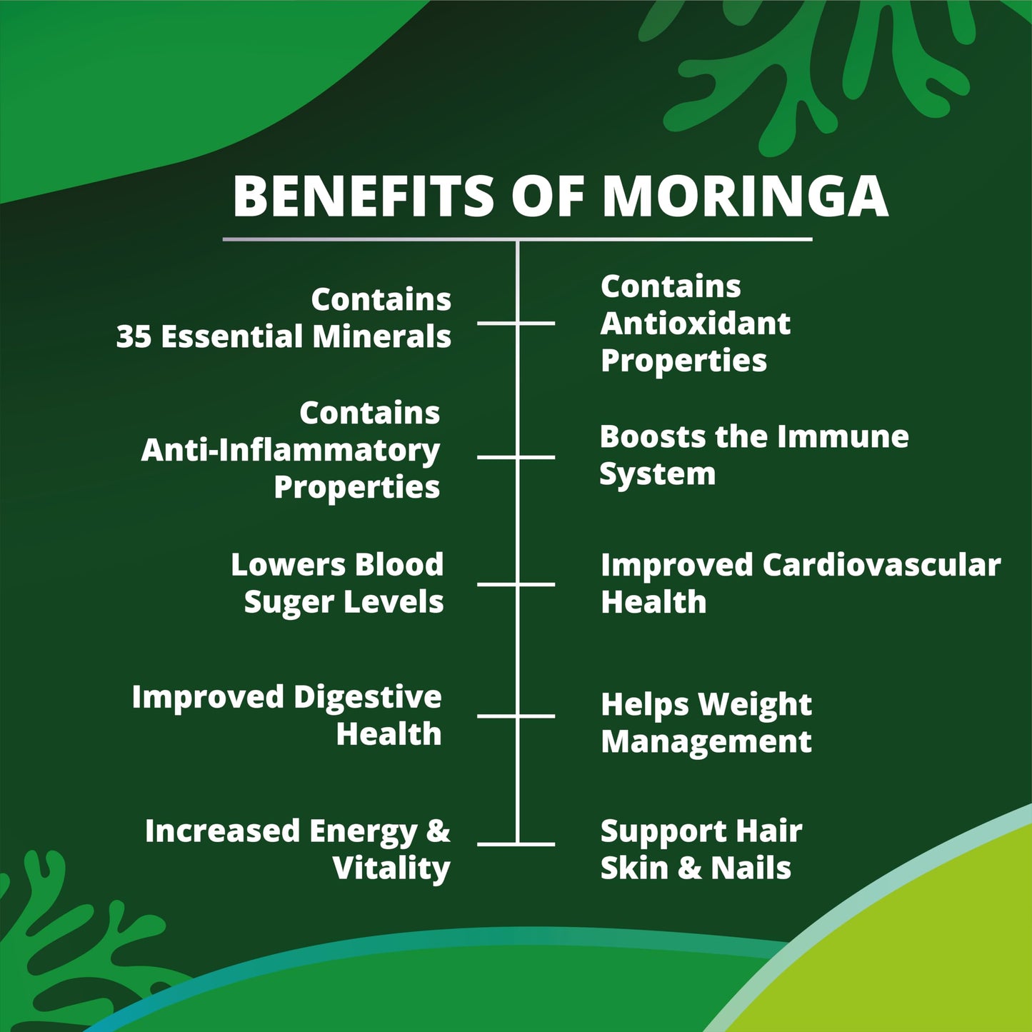 New Earth Organic Essentials Pure Moringa Capsules - Pure Moringa Oleifera Leaf Powder -180 Vegan Capsules