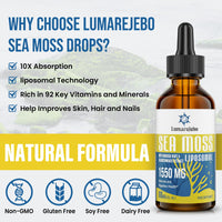 Liposomal Irish Sea Moss Drops 1550MG, with Burdock Root and Bladderwrack Extract, 4X Stronger Than Pills & Gel, Support Gut & Immune Health (Pack of 1)