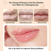 HERBENJOY Lip Balm Set, Moisturizing Lip Balm Multipack Fruity Flavoured Chapstick, Honey Bottel Shape Hydrating Lip Mask - Peach, Blueberry, Strawberry, Avocado Lip Balms For Moisturize Anti-Cracking