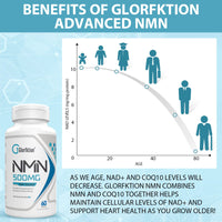 Glorfktion NAD Supplement | 750mg Advanced NAD Contains All 7 Ingredients in 1 Capsule | NAD+ Booster for Anti Aging | 60 Count Capsules (60 Count (Pack of 1))