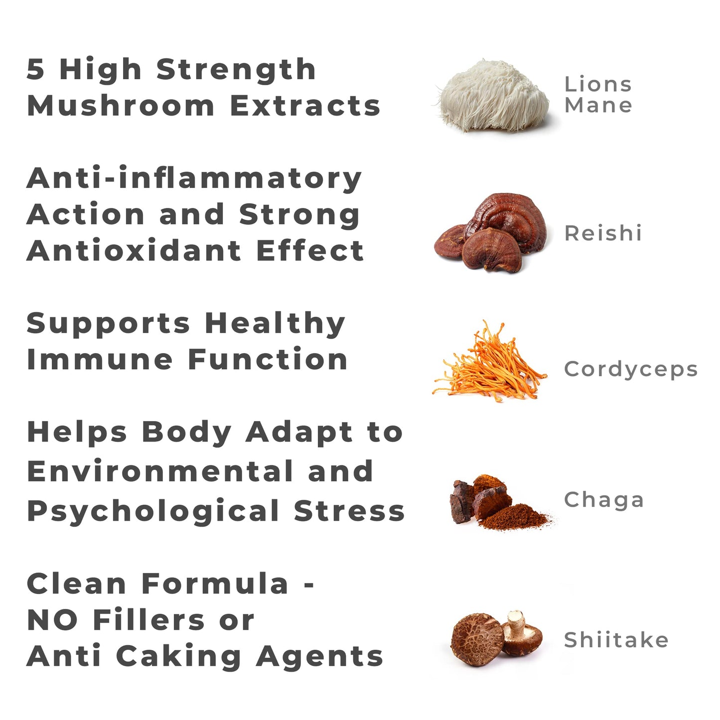 Mushroom Complex by LLS | Contains 1000mg Reishi, Chaga, Cordyceps, Lions Mane and Shiitake Mushrooms | 120 Capsules - 2 Month Supply | No Fillers | Vegan | Love Life Supplements