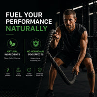 Natral Fadogia Agrestis 10,000mg Equivalent - 120 Vegan Capsules | High Potency Natural Performance & Sports Supplement | Muscle Building & Recovery Support