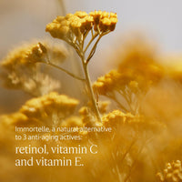 L'OCCITANE - Immortelle Precious Foam - 150 ml - Gently cleanses and refines skin texture - Made in France