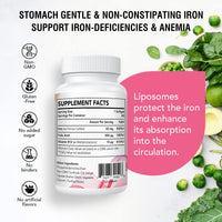 Liposomal Iron Supplement 42 mg (as Ferrous Sulfate) with Folic Acid and Vitamin B12, Increase Iron Levels for Adults, Superior Absorbed and Stomach Friendly (Pack of 1)