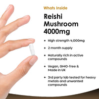 NEW LEAF PRODUCTS Reishi Mushroom Capsules - High Strength 4000mg Mushroom Supplements - 120 Vegan Mushroom Powder Capsules - Reishi Supplement 100% from the Fruiting Body Made in UK by New Leaf