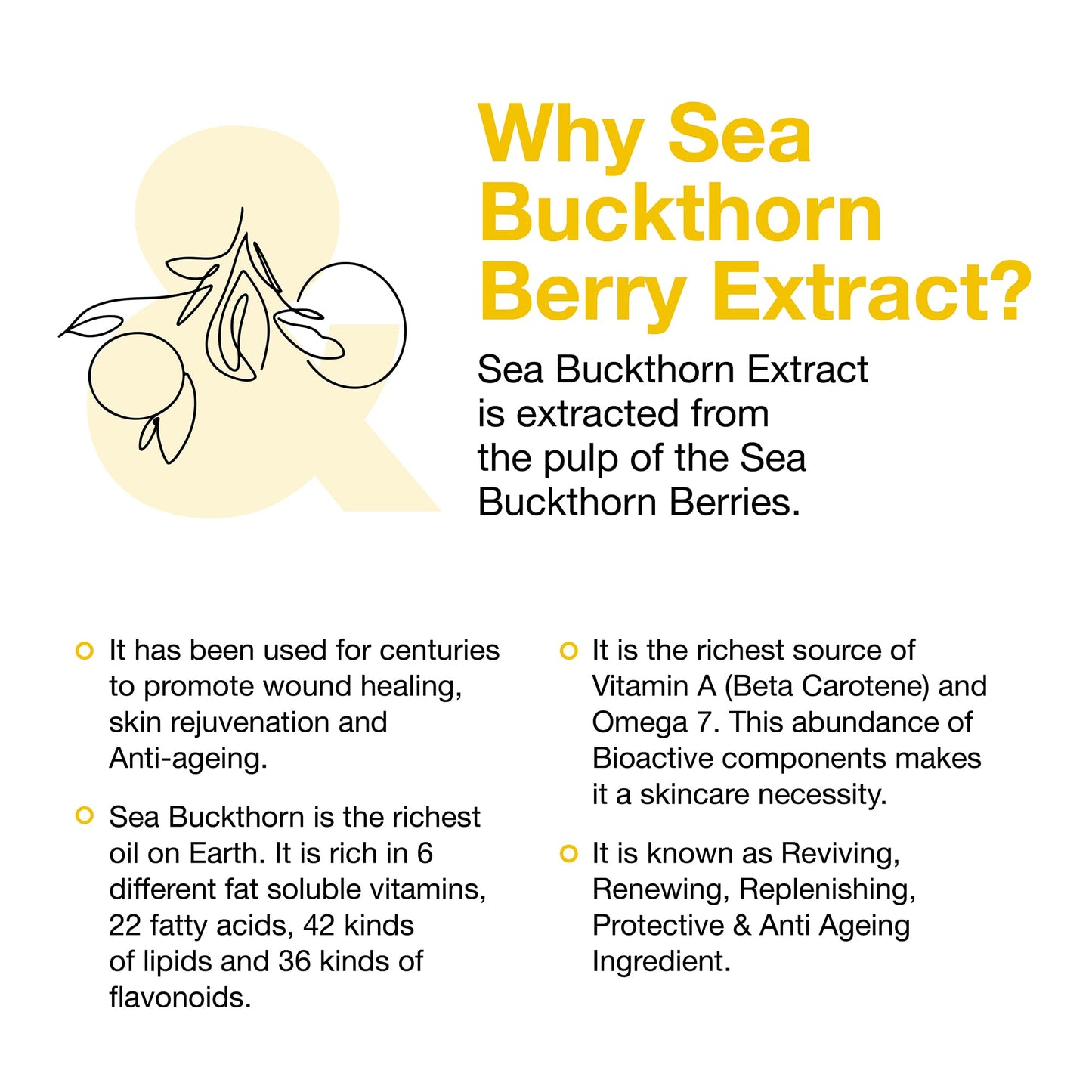 Love and Pamper Love & Pamper 100% PLANT POWERED - Daily Cleansing Balm, Natural Hydrating Makeup Remover with Vitamin E, Deeply Cleanses, Calms Redness & Removes Makeup & Impurities - Ultra Nourishing Treatment Balm