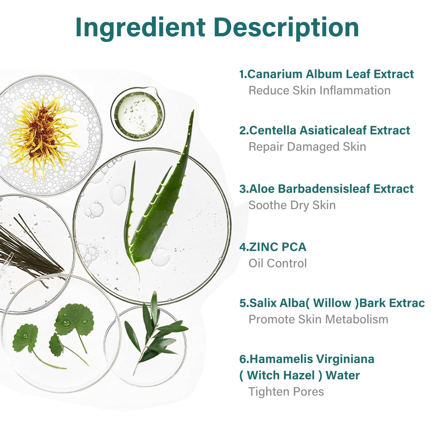 Leogony 7PCS Skincare Set for Teenagers Girls & Boys, Acne Skin Care Set for Teenage, Tea Tree Face Wash Gift for Mens Woman