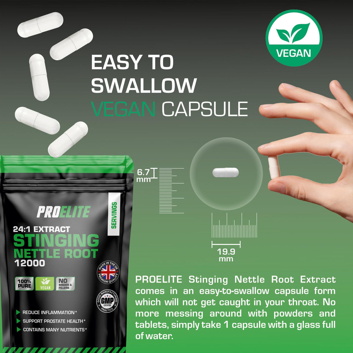 Stinging Nettle Root | 30 Capsules Vegan - 24:1 Extract 12,000mg Nettle Root per Capsule | High Strength Stinging Nettle Alternative to Powder NO Fillers & Binders | Made in UK by PROELITE