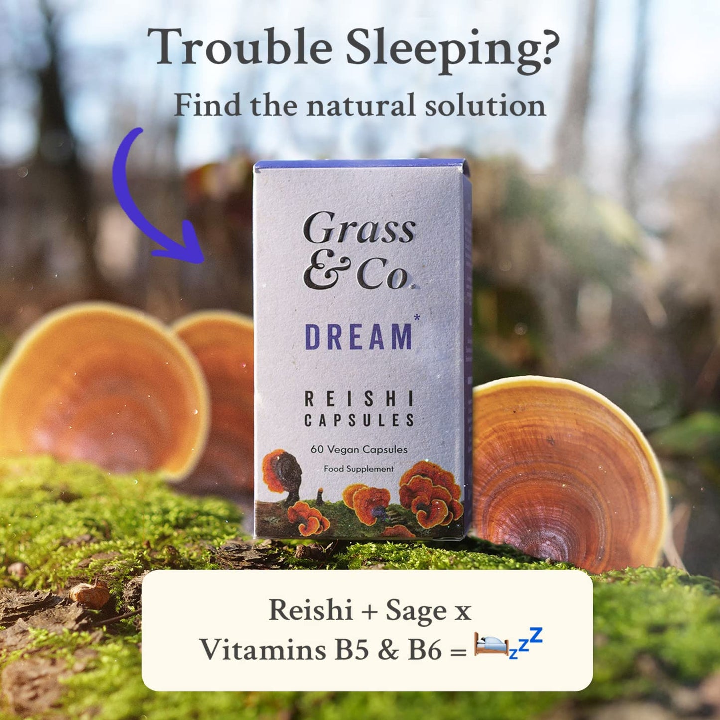 Grass & Co - Organic Reishi Mushrooms with Magnesium & Sage 60 | Regulate Hormonal Activity | Non-GMO, Gluten-Free, Cruelty-Free & Additive Free Reishi Capsules | 60 Vegan Capsules | 30 Day Supply