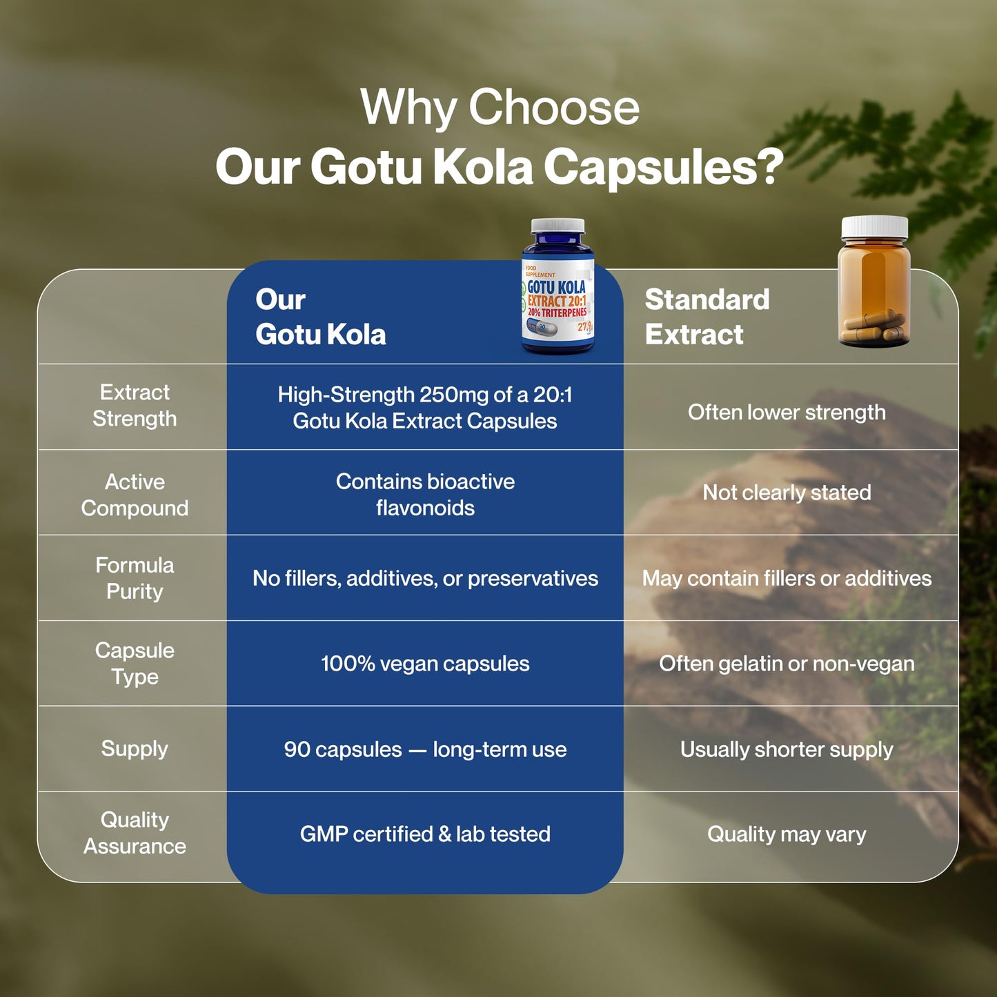 Hepatica Gotu Kola (Centella Asiatica) 5,000mg Equivalent | 250mg 20:1 Extract Standardised to 20% Triterpenes | 90 Vegan Capsules | 3-Month Supply | 3rd Party Lab Tested
