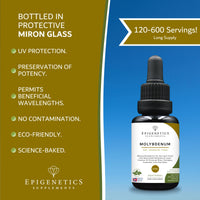 Epigenetics Molybdenum Liquid Supplement 30ml | 200mcg Per Drop | Highly Bioavailable | 6-Month Supply Without additives or flavourings | Made in The UK & Vegan Friendly