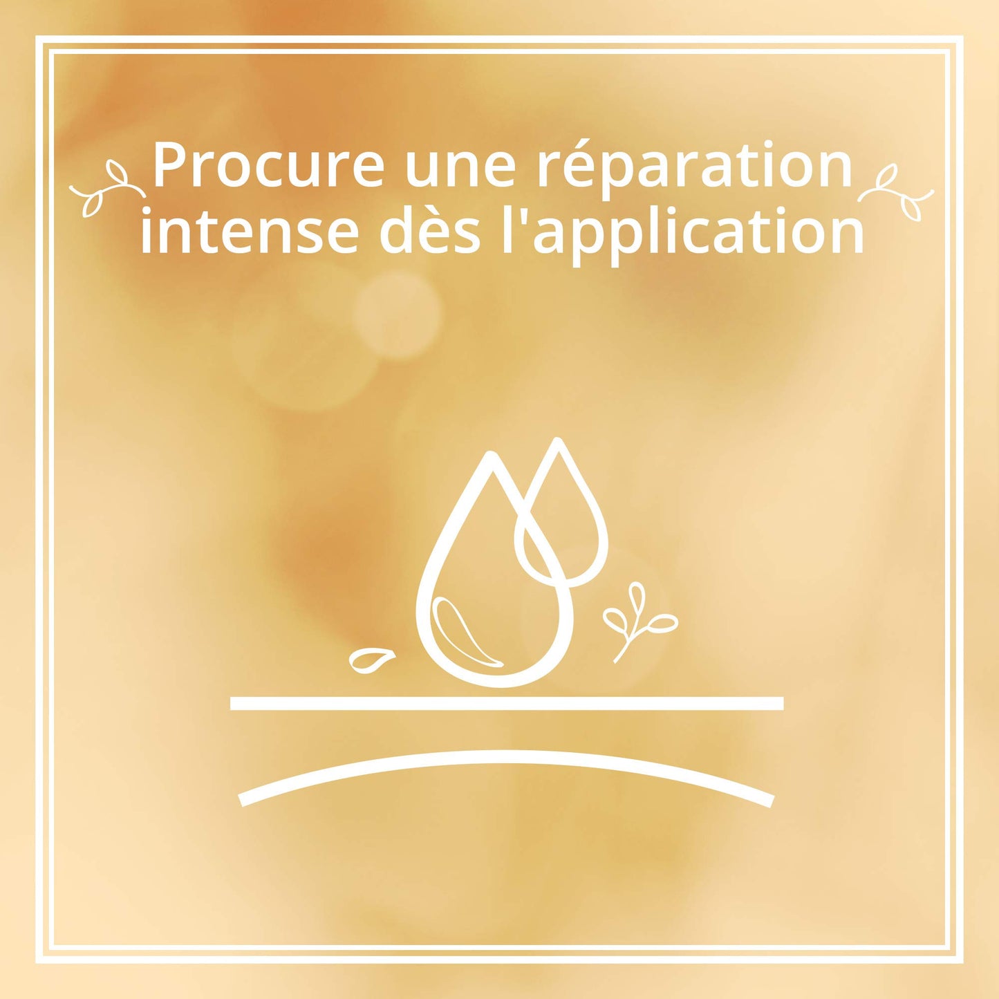 Le Petit Marseillais Repairing Hand Cream for Damaged and Dried Skins, Shea Butter, Aloe and Beeswax – 1 Tube of 75 ml