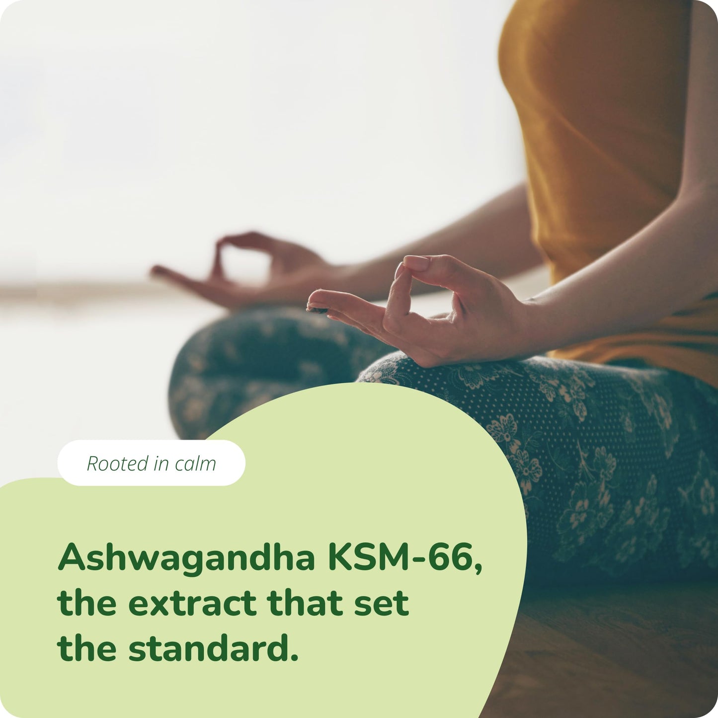 Vegavero Organic Ashwagandha KSM 66 | 600 mg Root Extract Daily | 180 Capsules | 5% Withanolides | Lab-Tested | NO Additives | Vegan
