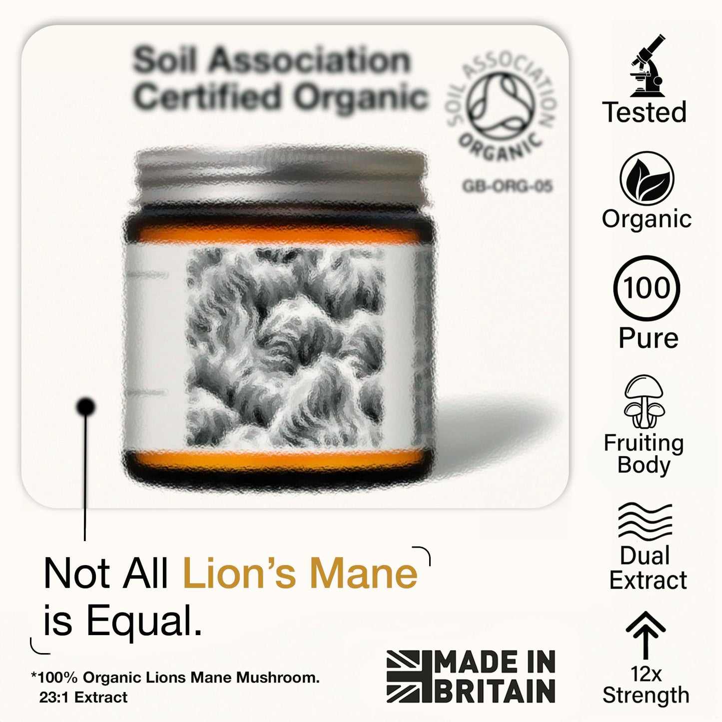 Andinn Organics Organic Lions Mane Mushroom Powder | 12X Strength | 3 Month Supply | Dual Extract Powder 23:1 | 6000mg | NGF | 1% Hericenones | 20% Polysaccharides