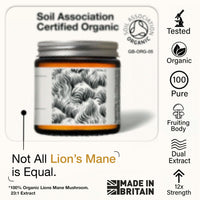 Andinn Organics Organic Lions Mane Mushroom Powder | 12X Strength | 3 Month Supply | Dual Extract Powder 23:1 | 6000mg | NGF | 1% Hericenones | 20% Polysaccharides