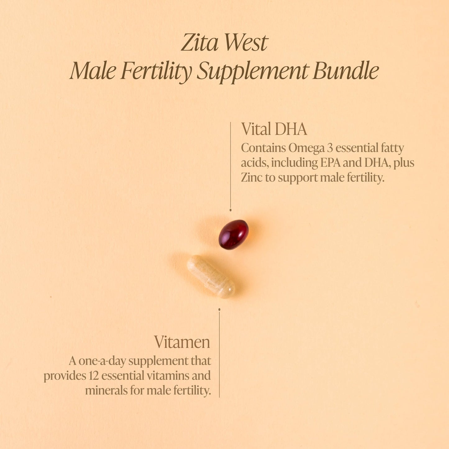 Zita West Male Fertility Supplements Bundle - Vitamen & Vital DHA - 1 Month Supply