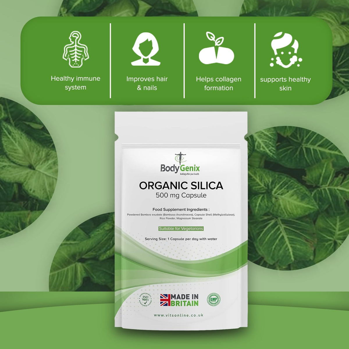 Bodygenix Organic Silica Capsules - 500mg Bamboo Extract Hormonal Balance Healthy Bones & Hair Natural Food Supplement - 30 Capsules 1 Month Supply