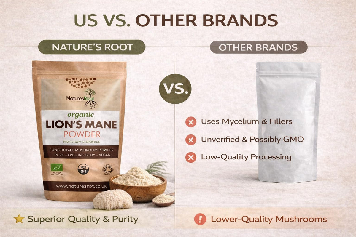 Natures Root Nature’s Root Organic Lion’s Mane Mushroom Powder 200g – 100% Fruiting Body (Hericium erinaceus) – Finely Milled Vegan Mushroom Powder for Coffee, Smoothies & Hot Drinks – No Fillers