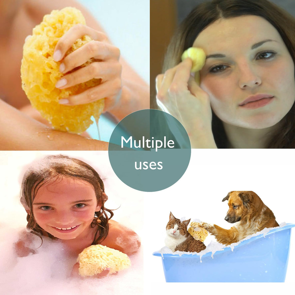 pasiphae natural skin care & sea sponges Pasiphae Natural Soft Loofah Yellow Sea Sponge,Honeycomb Body Sponge on a Rope for Bath & Shower -100% Natural, Organic,-Men,Women,Adults, Exfoliating,Eco Gift Carton (Pack of 1-Size L - 12,5-14,5cm)