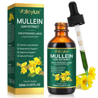 Bibonse Mullein Leaf Extract for Lung, Mullein Drops, Mullein Leaf Liquid Drops, Mullein Extract with Chlorophyll for Lung Cleanse, Premium Health Supplement Drops for Fast Absorption, Alcohol-Free, 60ml