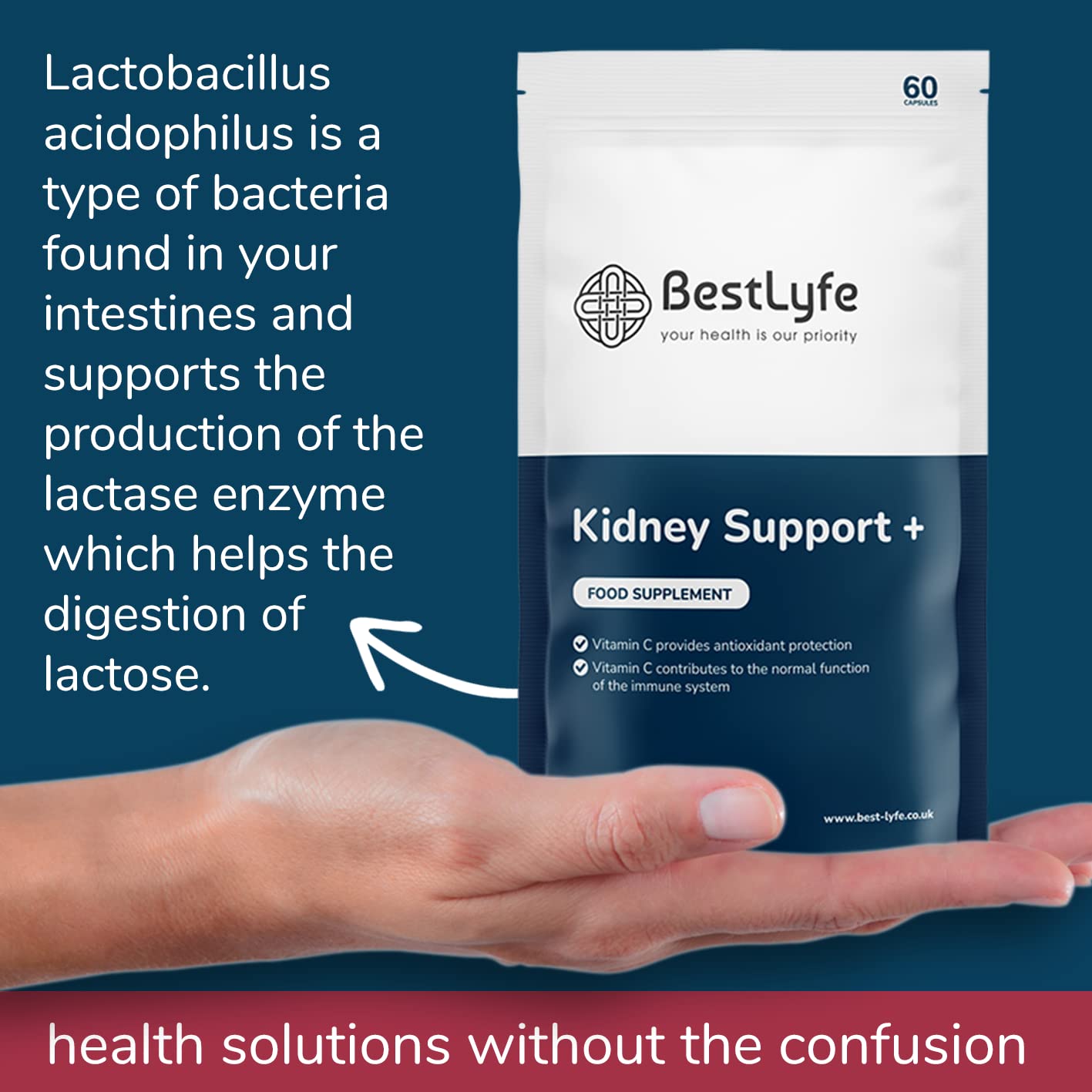 BestLyfe Your Health Is Our Priority BestLyfe Kidney Support+ Supplement | 14 Nutrients & Vitamins | Twin Pack | 120 Capsules | Liver Detox | Kidney Cleanse | Gallbladder and Spleen Support | Healthy Urinary Tract | UK Made
