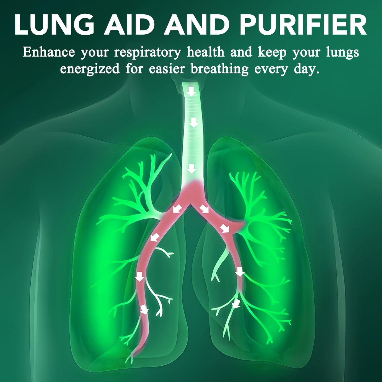 Tamiodfo Mullein Leaf Liquid Drops,Mullein Drops,Mullein Leaf Extract Drops,Mullein Herbal Supplements Drops for Fast Absorption 60ml(2pcs)