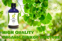 Organic Herbal Remedies 100ml Ginkgo Biloba Tincture