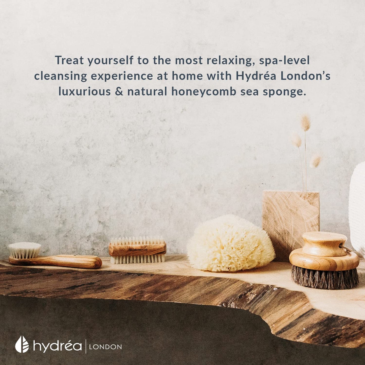 Hydréa London Hydrea London Natural Sea Sponge 5.5 - 6"- Premium Mediterranean Honeycomb Unbleached Natural Sponge for Bath and Shower for Adults, Women, Men Children and Baby