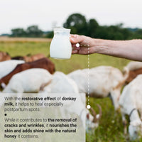 STORELUXY 130gr Donkey Milk & Honey Soap Bar With Pumpkin Fiber Natural Handmade Loofah | Anti Ageing, Anti Wrinkle, Effective For Acne & Eczema, Vitamin A, Moisturising Skincare